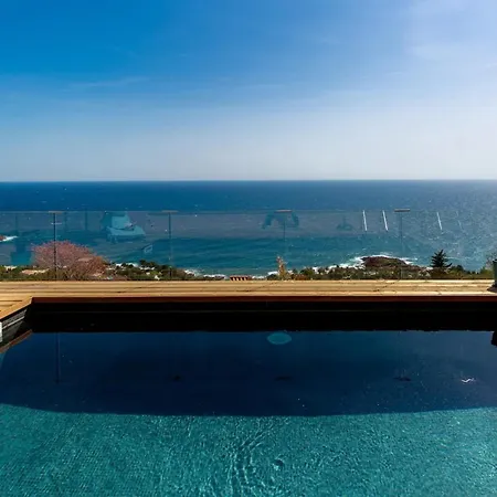 Charming Riviera For 8 Guests Pool & Sea View Holiday home